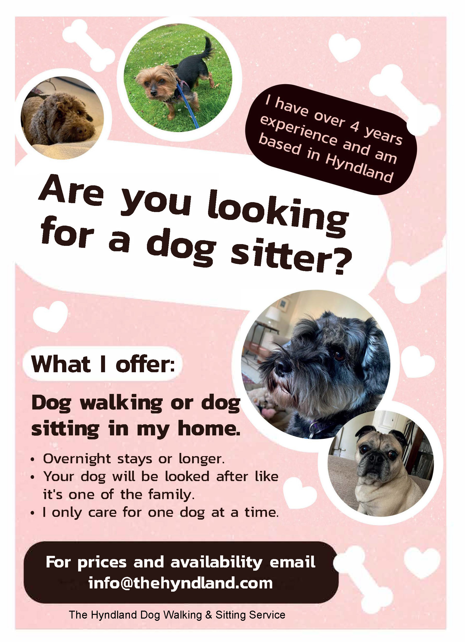 The Hyndland Do Walking & Sitting Service